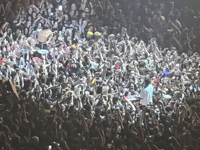 Image of the crowd at a music event